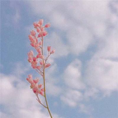 江湖求生手游下载
