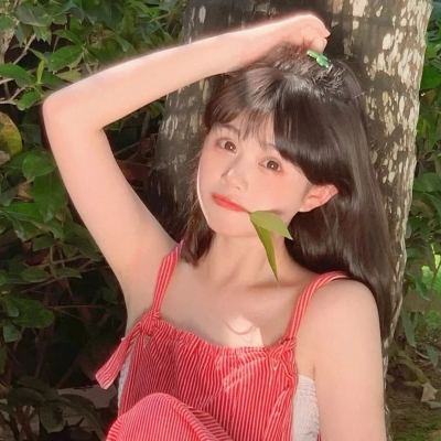 熹妃传51508手游下载